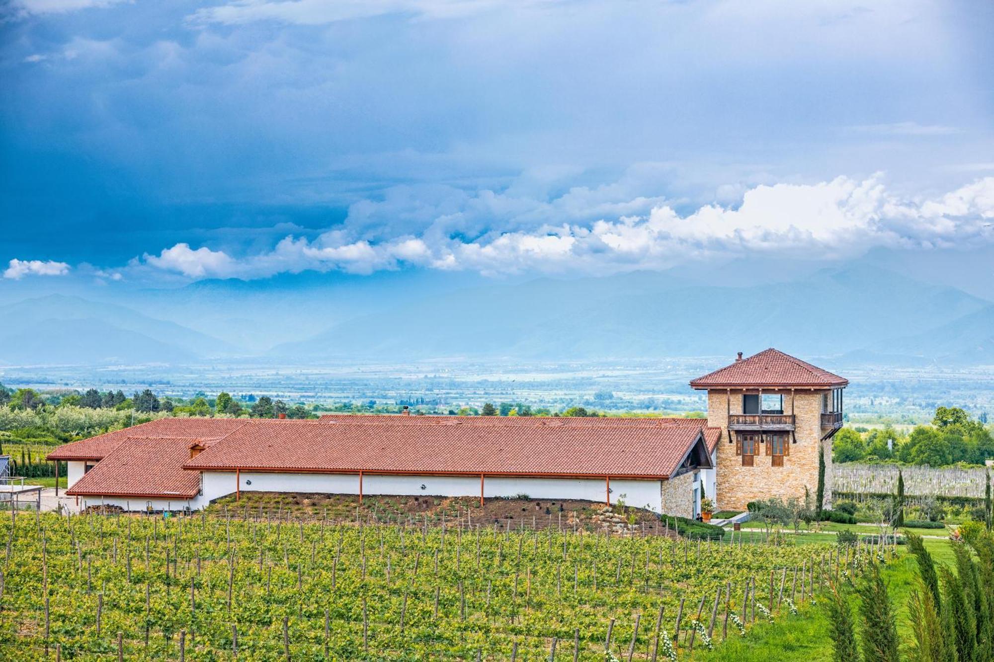 Château Mosmieri Hotel&Winery Telavi Exterior foto